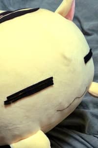 黒森オシカ