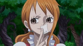 Um Inimigo Que Vale 800 Milhões! Luffy contra Cracker das Mil Mãos!