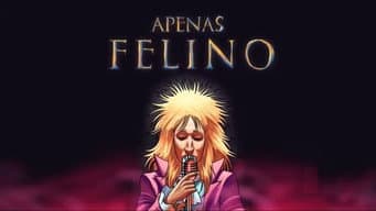 Apenas Felino