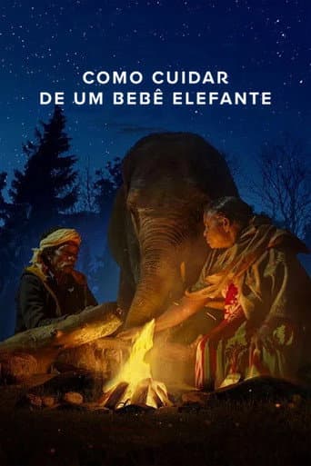 Como Cuidar de um Bebê Elefante