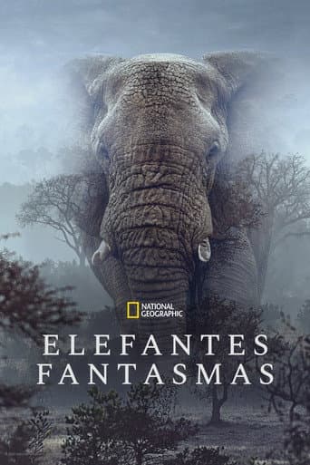 Elefantes Fantasmas