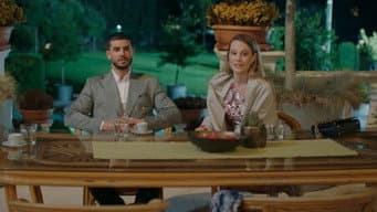 Episódio 22