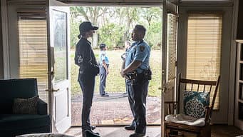 Episódio 15