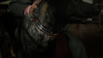 Episódio 7