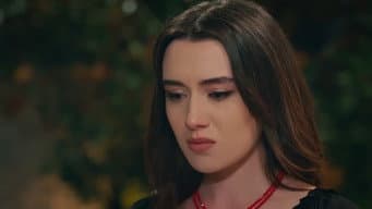 Episódio 41