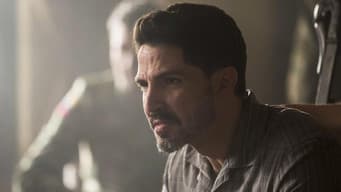Episódio 8