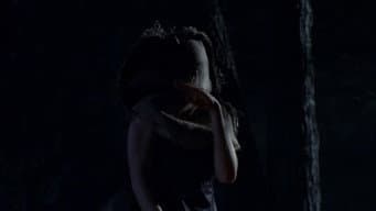 Episódio 15