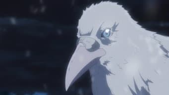 Episódio 1