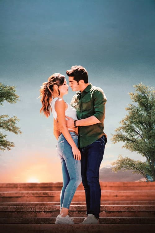 O Amor Não Entende Palavras