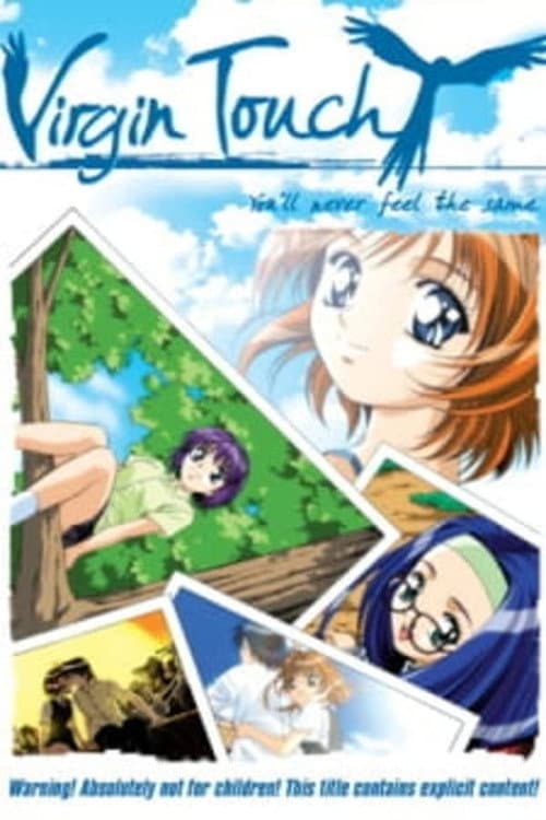 Flutter Of Birds 2