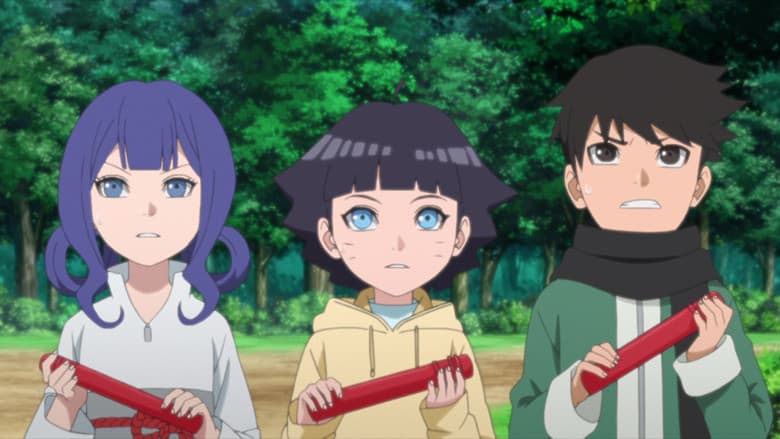 O Teste Ninja de Himawari!
