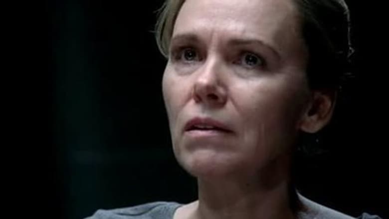 Episódio 14