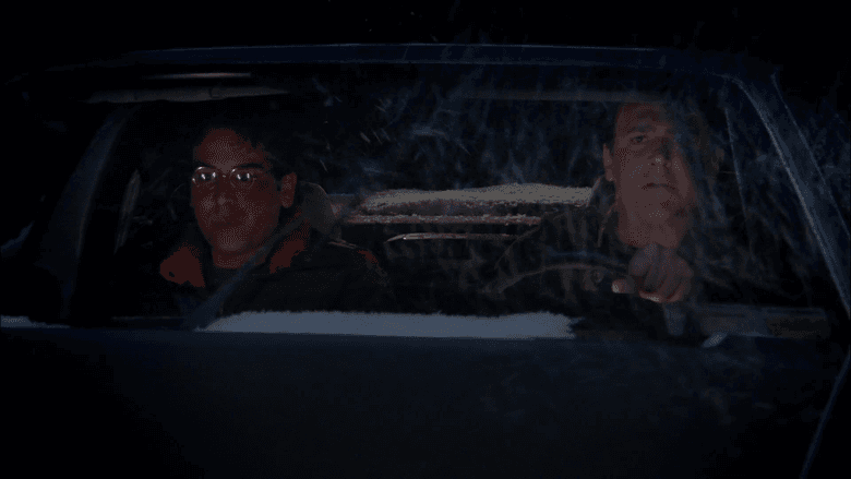 Arrivederci, Fiero