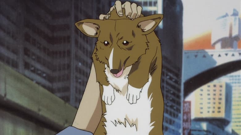 Stray dog strut