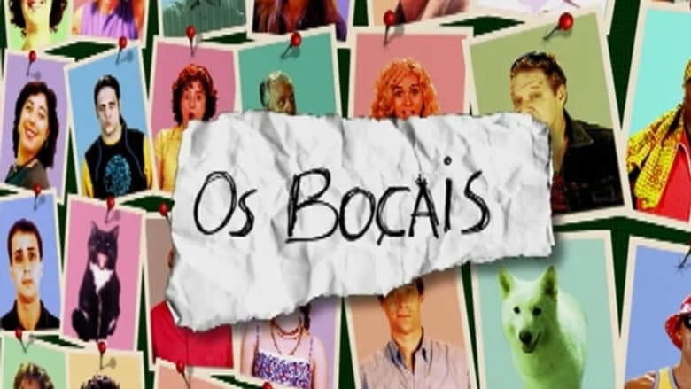 Os Boçais