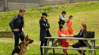 Episódio 7