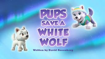 Os Filhotes Salvam um Lobo Branco