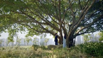 Episódio 17