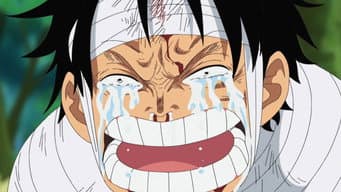 Chegada à Ilha das Mulheres! A Árdua Realidade Tortura Luffy!